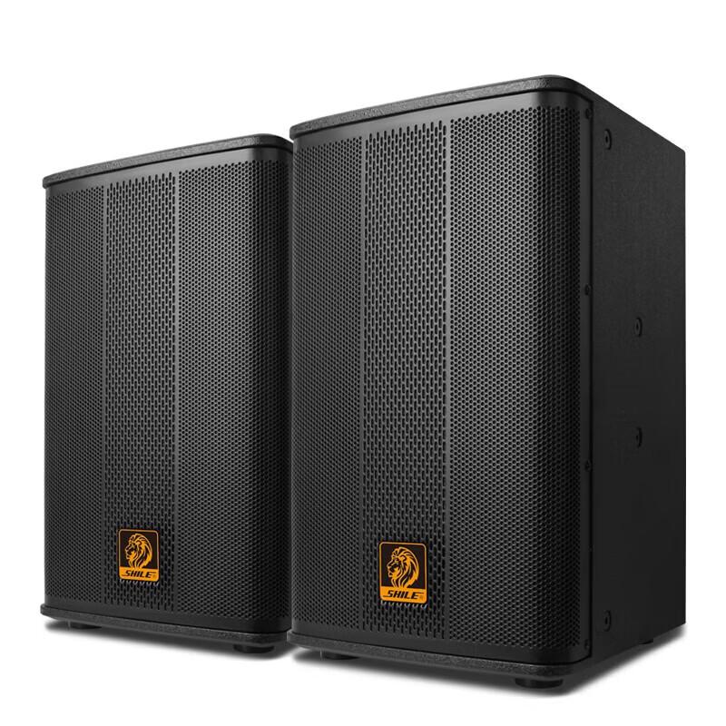 SHILE 10-inch Professional Conference Speaker