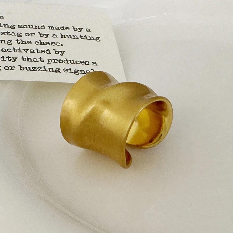 Silver Plating Brushed Geometric Opening Rings for Women Trendy Fashion  Minimalist Light Luxury Accessories