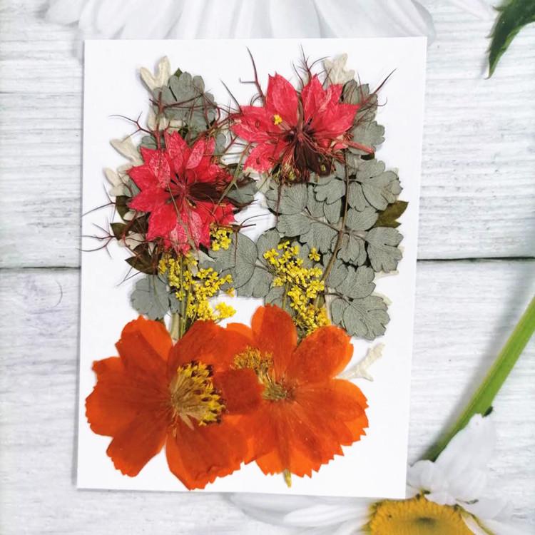 Pressed Dried Flower DIY Kit: Bookmark, Resin, & Phone Case Embossing Materials