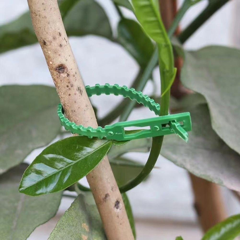 100pcs Adjustable Plant Cable Ties Reusable Cable Ties for Garden Tree Climbing Support Plant Vine Tomato Stem Clip