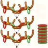 Inflatable Reindeer Horn Game with 1 Horn and 4 Rings, Fun Family Party Toss Game, Great Holiday Party Favors and Supplies