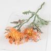 Vase Filler Floral Artificial Flowers Fake Flowers Colorful Crab Claw Flowers For Garland Party Supplies Diy Projects
