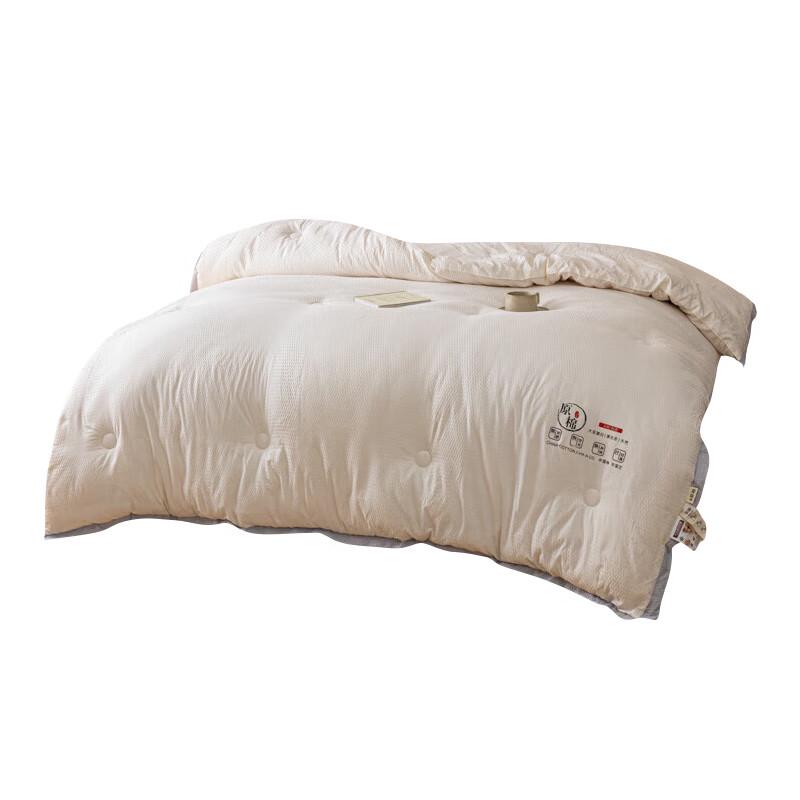 

Plover Seersucker Textured All-Season Quilt