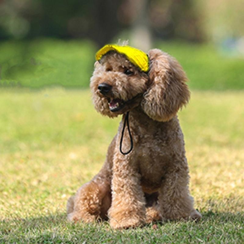 Cappellino Stiloso per Cane 4 Misure Disponibili Design Traspirante Cappellino Parasole per Animali Domestici Ideale per Passeggiate Quotidiane e Giochi Spiaggia