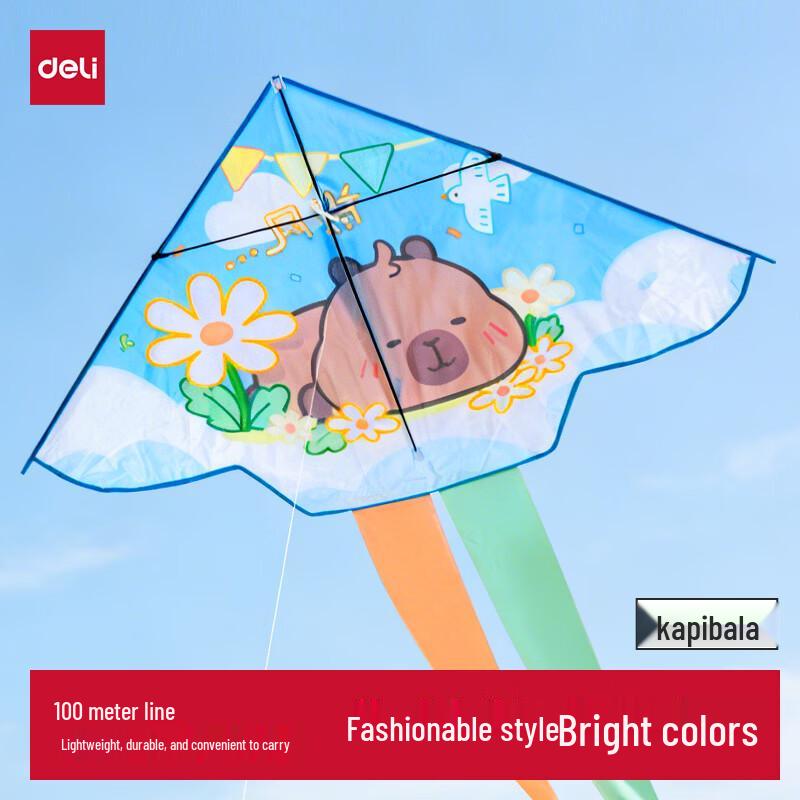 Deli Easy-Fly Outdoor Kite