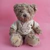 Delightful Bear Teddy Plush Stuffed Animal Cuddly Bear Doll Cute 30cm Design