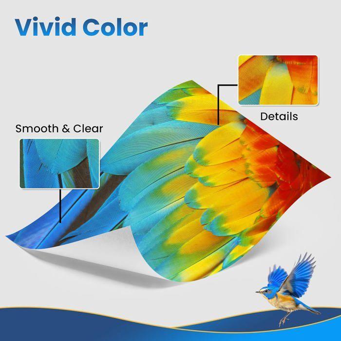 Cartouches d'encre compatibles - EDILIX - 29XL - Lot de 10 - 4 Noir, 2 Cyan, 2 Magenta, 2 Jaune