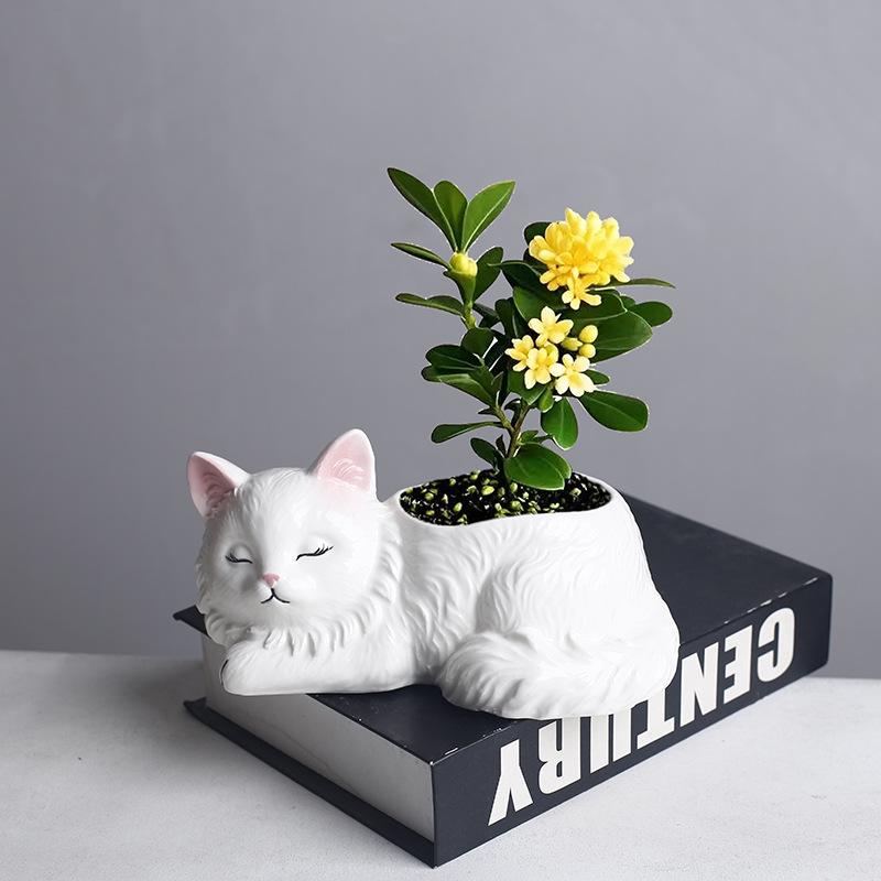 Kreskówkowe Zwierzątko Sukulent Mała Doniczka Ceramiczna Dom Biuro Balkon Roślina Zielona Narzędzie do Kwiatów Dekoracyjny Ornament Ogrodniczy