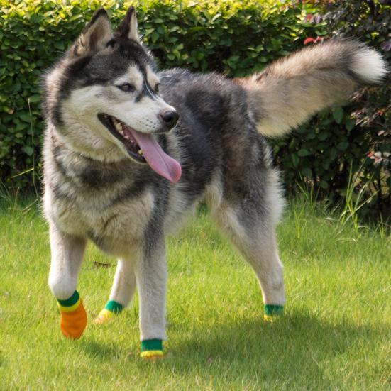 4 ks ponožek pro domácí mazlíčky Nepromokavé Odolné Bavlna Prodyšné Chránič tlapek štěněte na procházky