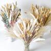 Dried Pampas Grass Dry Flowers Dried Flower Bouquet Dried Eucalyptus Pampas Grass Decor Tall Pampas White Pampas Grass
