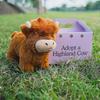 Adopt a Highland Cow Legend Plushie Cute Animal Dolls Soft Cuddle Cushion Stuffed Toys for Kids Adults Birthday Gifts