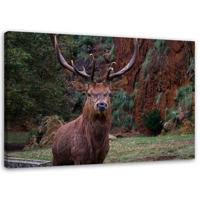 Canvas Print Deer In the Forest Nature Animals