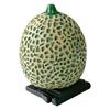 Vibranted Camera Hotshoe Protector Decorative Fruit Design Dustproof Cover For Professional Imaging Systems