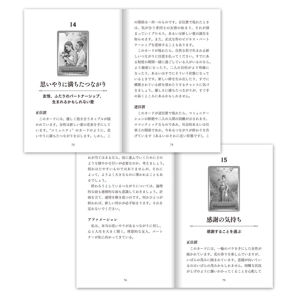 Energy Oracle Cards with Japanese Instructions (Oracle Card Series)