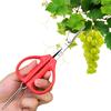 Grape Scissors Creative Grape Scissors Tweezers 2-in-1 Sturdy Scissors and Tweezers for Garden Fruits and Grapes with Soft Grips