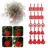8pcs Chinese New Year Cny Outdoor Red Decor Festival Bonsai Money Tree Pendant