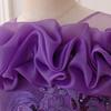 Children's Princess Embroidered Formal Piano & Party Dress