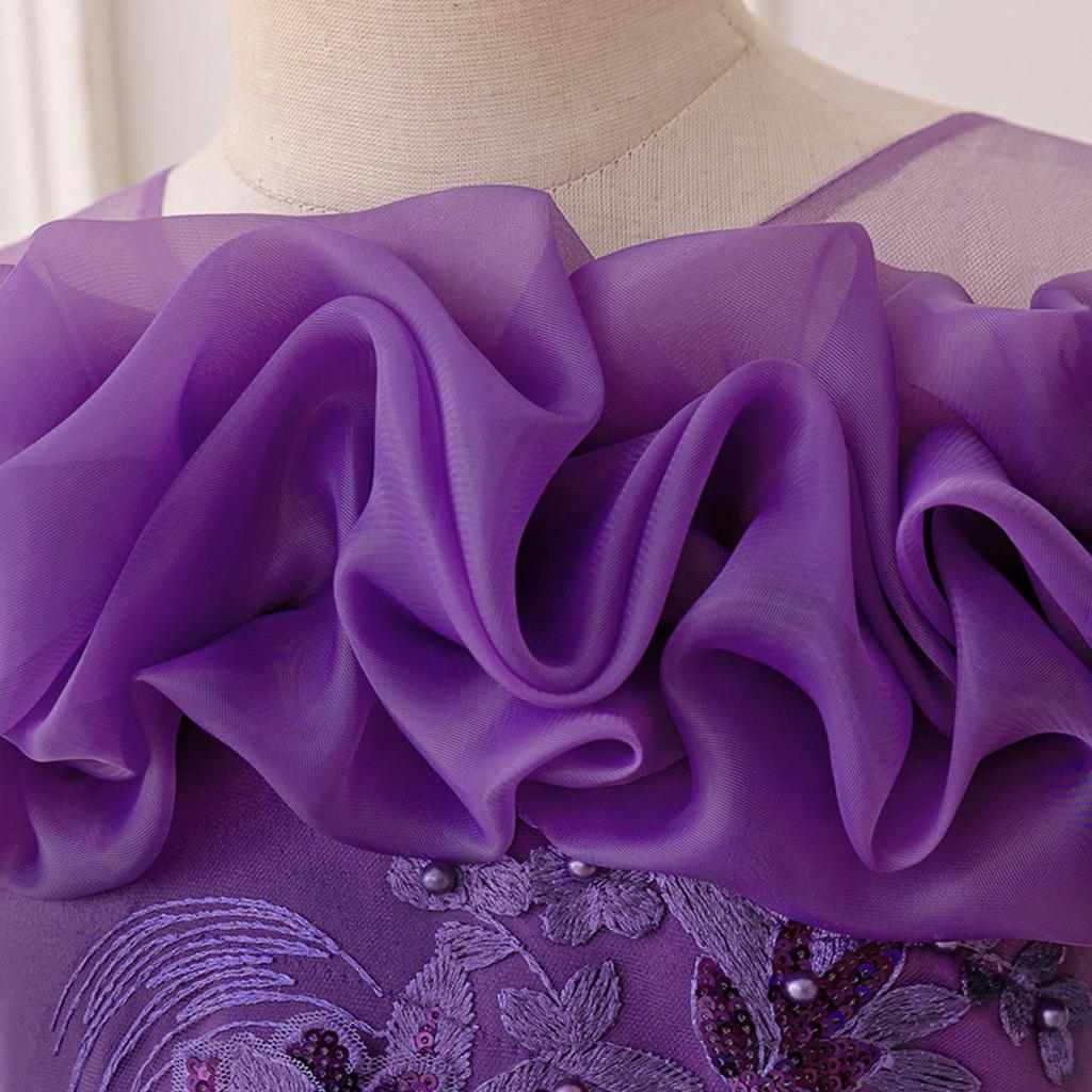 Children's Princess Embroidered Formal Piano & Party Dress