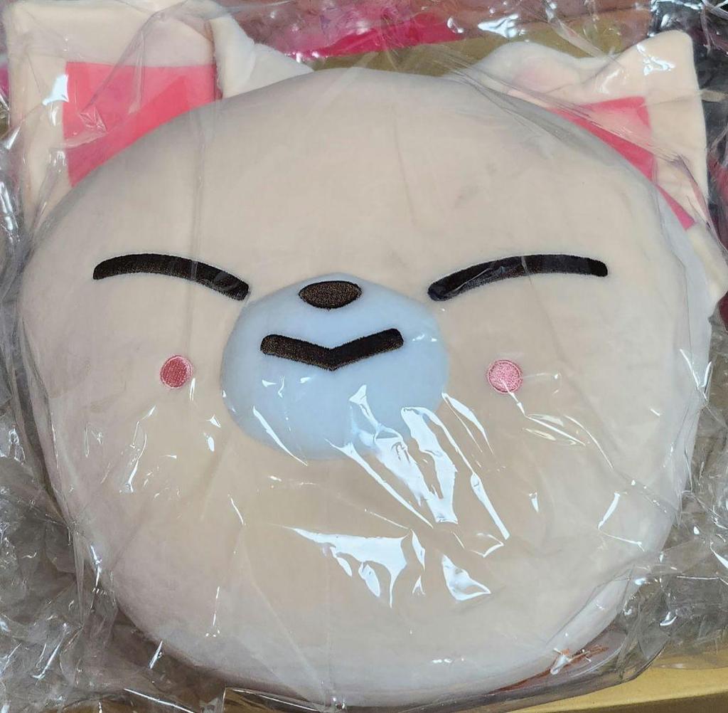 [USED] StrayKidsSKZOO The VICTORY Cushion