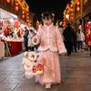 Chinese Style New Year Lion Dance Lantern Traditional Luminous Lantern Toy  Festival Atmosphere