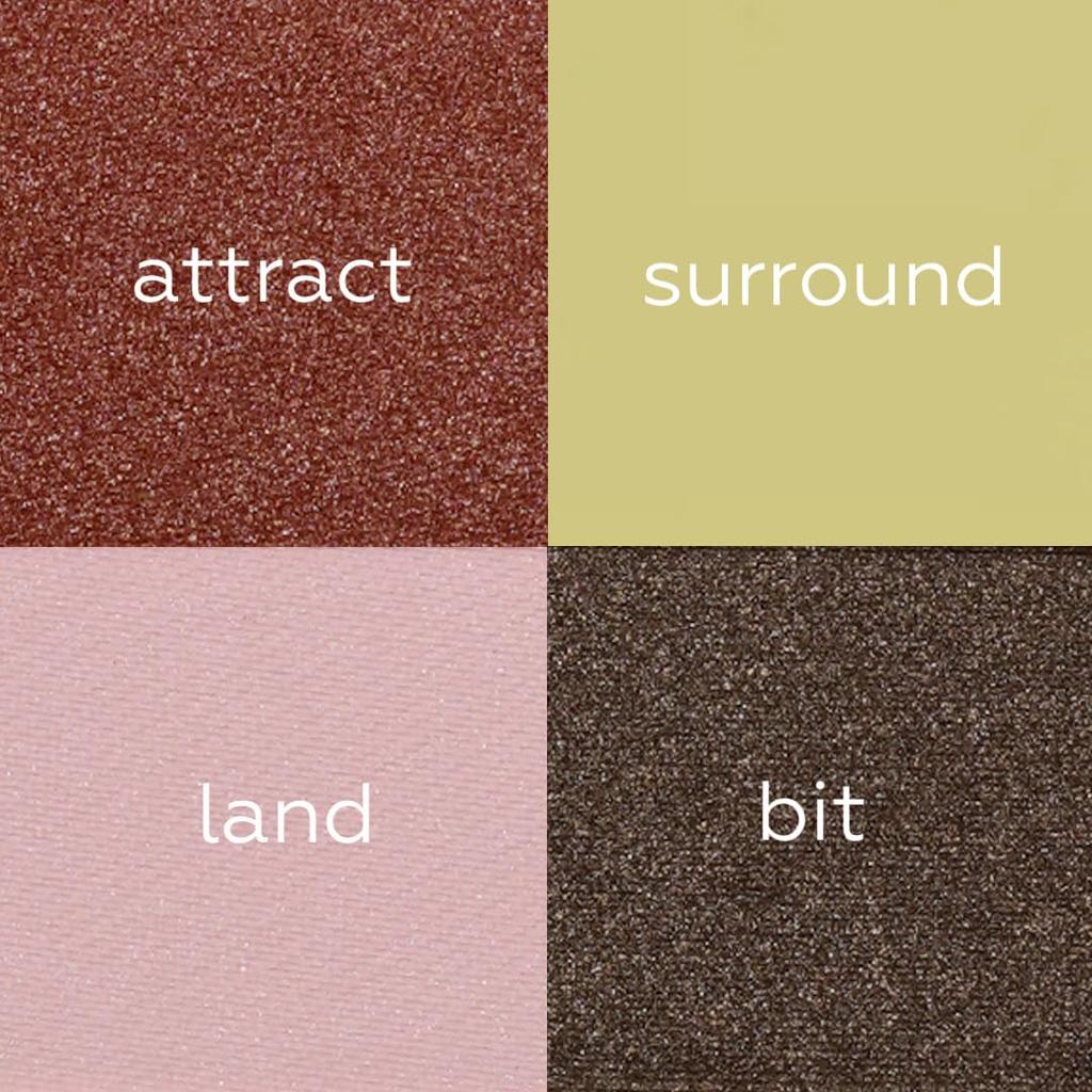 Uneven Eyepalette Anivene Eye Palette For a Moment Ep-03