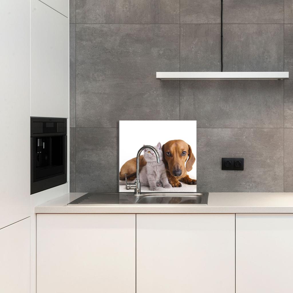 PANEL SZKLANY DO KUCHNI 65x60 Zwierzęta