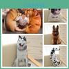 Almofada Criativa de Simulação 3D de Cachorro, Brinquedo de Pelúcia Cachorro Animal de Pelúcia Para Crianças, Tecido de Pelúcia Curta, Enchimento de Algodão PP, Vários Tamanhos e Cores
