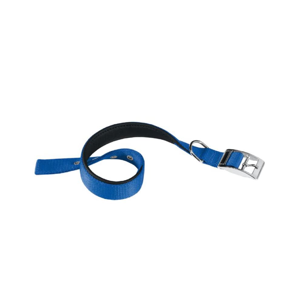 Ferplast Daytona Collar, Blue, C, 40/63