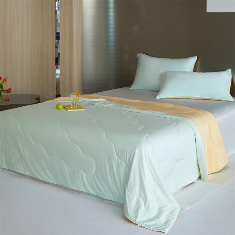 

LISM Ice Silk Summer Air Conditioning Quilt