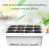 Seedling Box 12 Holes Sowing Nursery Pots Insulation with Lid Succulent Plant Seed Sprout Germination Seedling Pot Wholesale