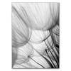 Dandelion Canvas Painting Quote Wall Picture Home Decor Landscape Plant Art Posters Life Forever Quote Art Prints HD2800