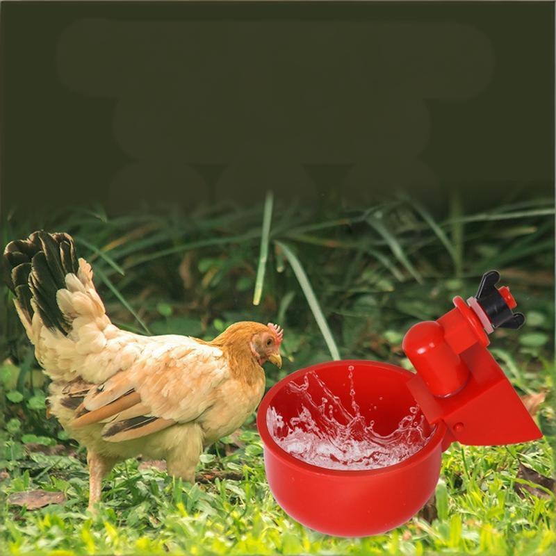 10/20Pcs Chicken Duck Drinking Cup Automatic Drinker Chicken Feeder Plastic Poultry Farm Water Drinking Cups Easy Installation