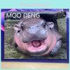 2025 Moo Deng Calendar Modern Hippo Wall Calendar With Fun Animated Stickers For All Occasions