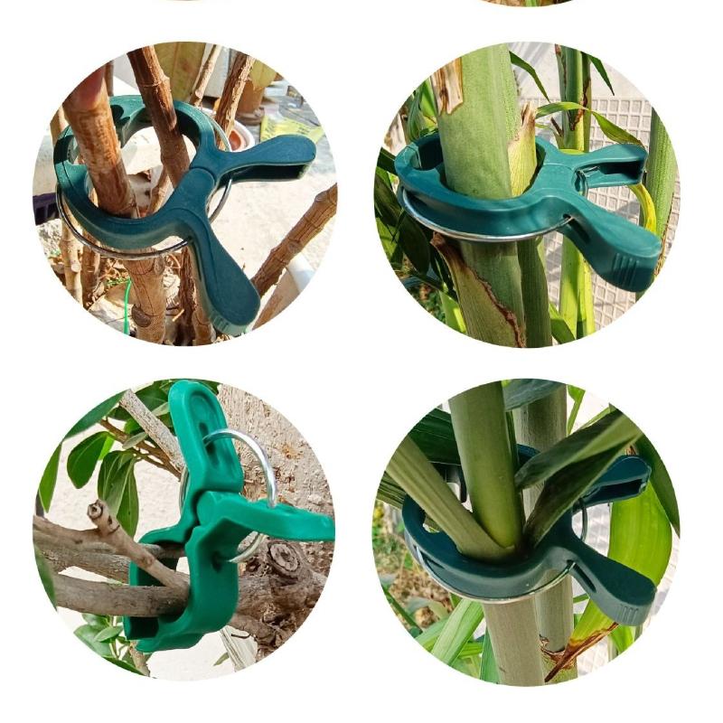 10/20Pcs Plant Fixed Clips Reusable Garden Greenhouse Bracket for Fixed Plants Vine Flower Seedling Stem Suppor t Garden Supplies