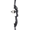 Crossbow Compound Bow with 5-Pin Sight, Level Light, and Four-Way Adjustment