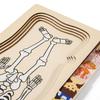 Non-Toxic Montessori Wooden Multi-Layer Puzzle Human Body Structure Jigsaw Game Children Early Educational Toys For Children Kids