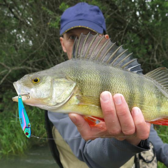 Lightweight VIB Lure Baits Sharp Bright Color Angle Fishing