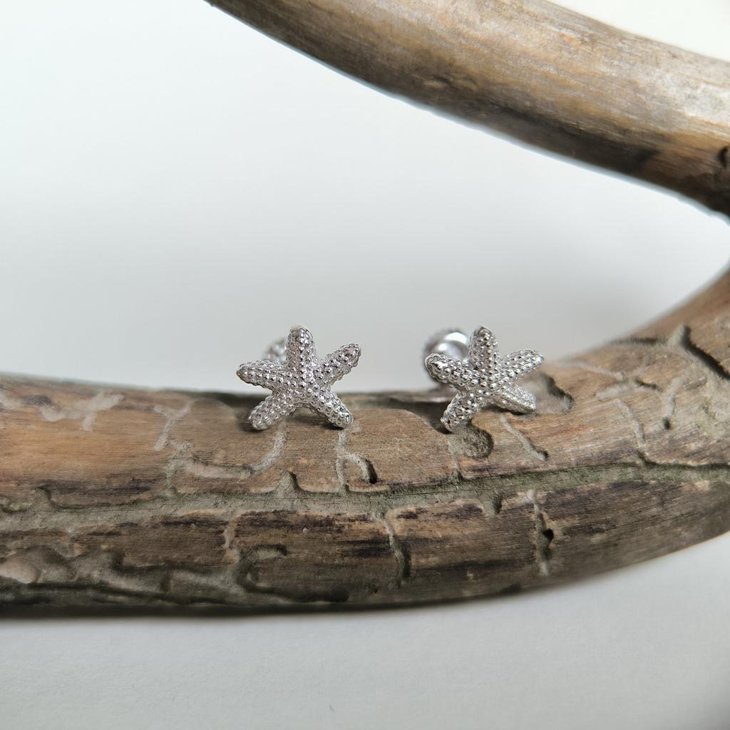 Silver Earrings Without Stones (2208990)
