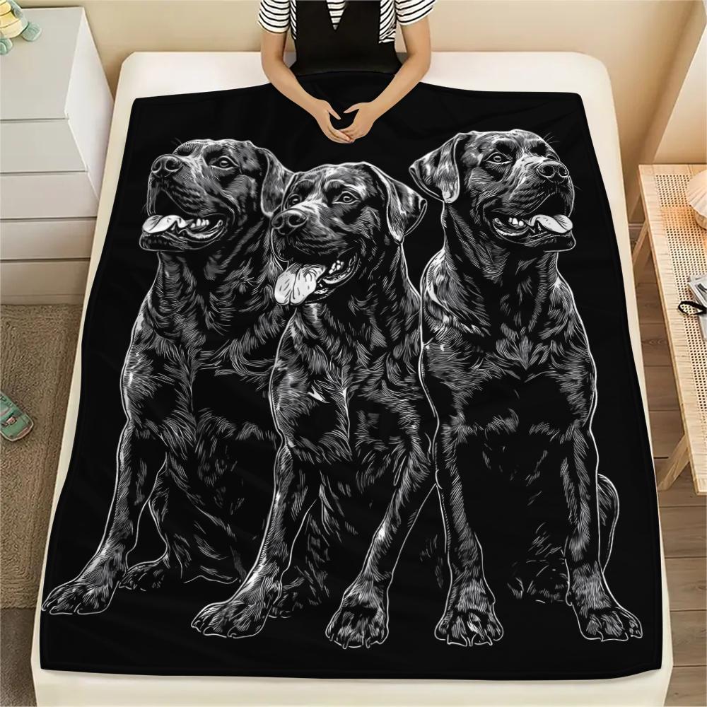 Schwarzer Rottweiler, Muster Flanelldecke, Hohe Qualität, Bequem für alle Jahreszeiten, Heimdekoration, Wärme und Komfort, Perfekt für Geschenke.