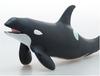 Favorite Killer Whale FM-301