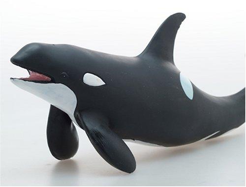 Favorite Killer Whale FM-301