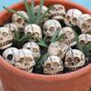 20PCS Resin Mini Skull Figurine Lightweight Ghost Decorative Statue  Halloween Supplies