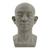 Generic Planar Head Model for Drawing Resin Skull Sculpture with Detailed Muscle Structure Art Study Tool for Sketching Anatomy Learning
