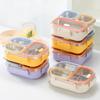 Bento Lunch Box 3 Compartment BPA Free Leak Proof Sealing Lids Dishwasher Friendly for School Work Picnic Use