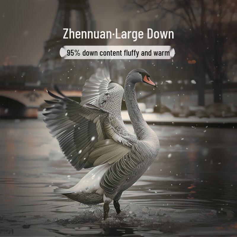 FUANNA Jacquard Goose Down Winter Quilt