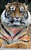 Libro Tiger & Other Tales