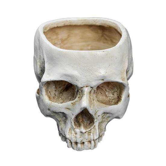 Skull Flower Pot Hanging Human Skull Plant Pot Halloween Candy Bowl Gothic Planter for Succulents Indoor Outdoor Decor