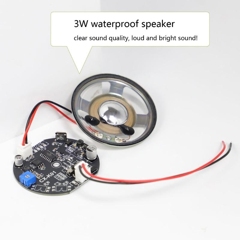 Industrial Programmable Voice Prompter for Clear Auditory In Noisy Environment with Multiple Format Support Voice Player