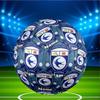 Custom Name Personalized Cardiff City FC Print Size 5 Soccer Ball Training & Match Football, for Team, Kicking, Gift for Football Enthusiasts