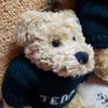 [USED] British Teddy Bear's Younger Brother